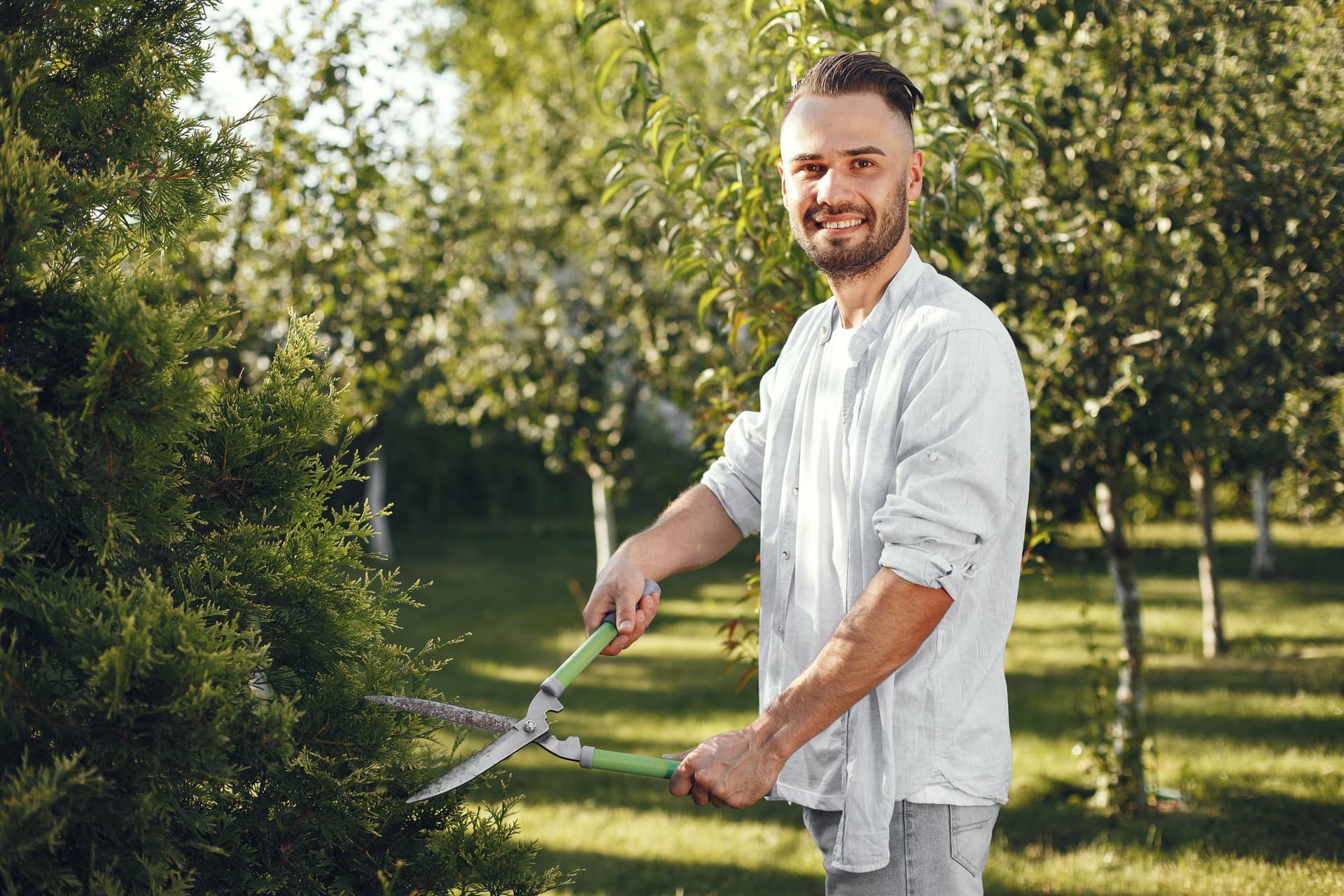 Person trimming a shrub with hedge shears in a sunny garden.