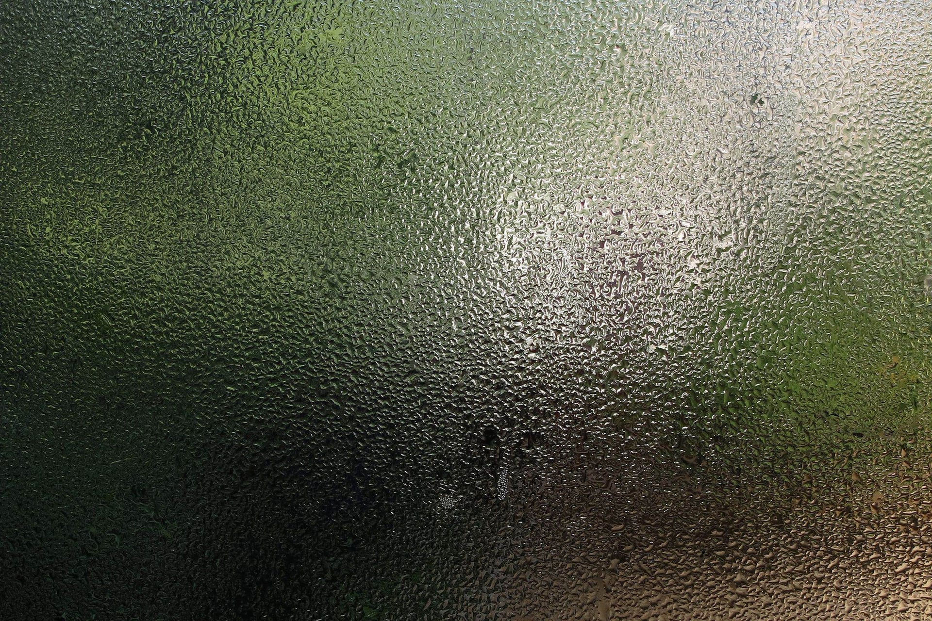 Condensation droplets covering the inside of a window pane.
